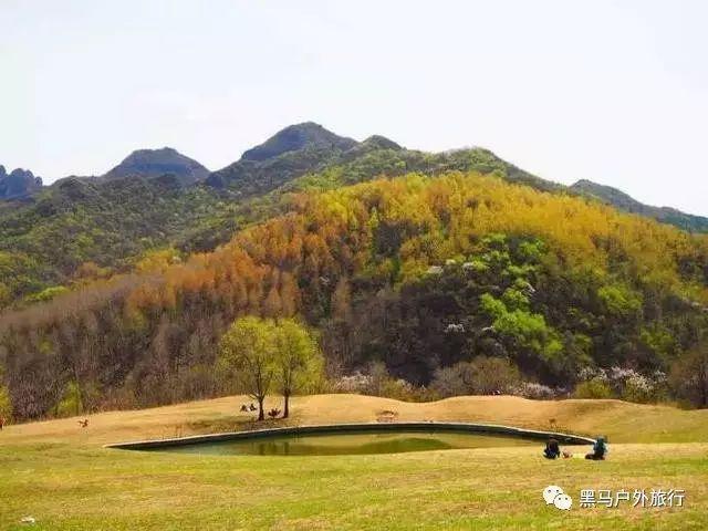 往别人身上泼粪犯法吗？-专业问答交流平台